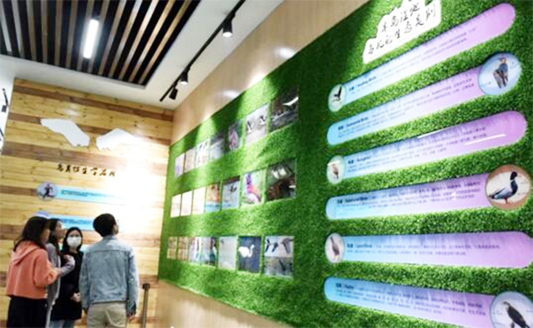 巢湖半島國(guó)家濕地公園鳥(niǎo)類(lèi)科普展館