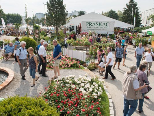 圖爾恩國(guó)際園藝博覽會(huì),圖爾恩國(guó)際園藝博覽會(huì)現(xiàn)場(chǎng)，花園展現(xiàn)場(chǎng)
