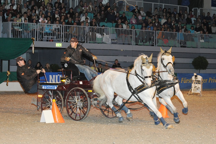 馬展，德國馬展，馬匹比賽