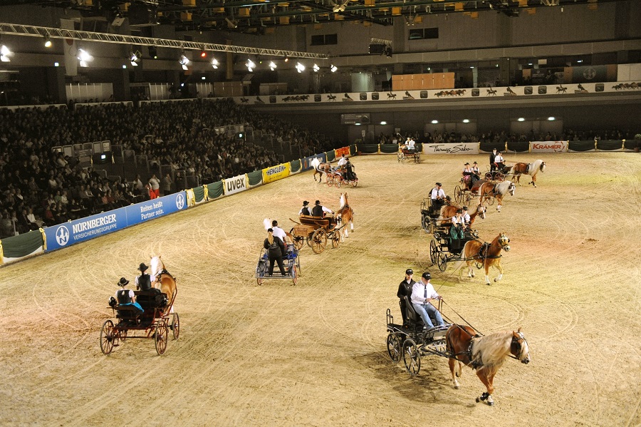 馬展，德國馬展，馬匹比賽