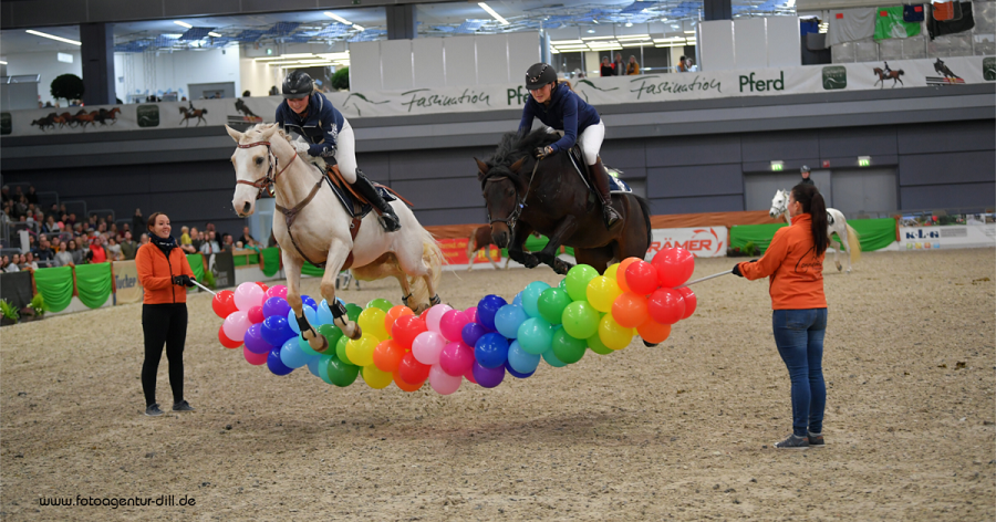 馬展，德國馬展，馬匹比賽